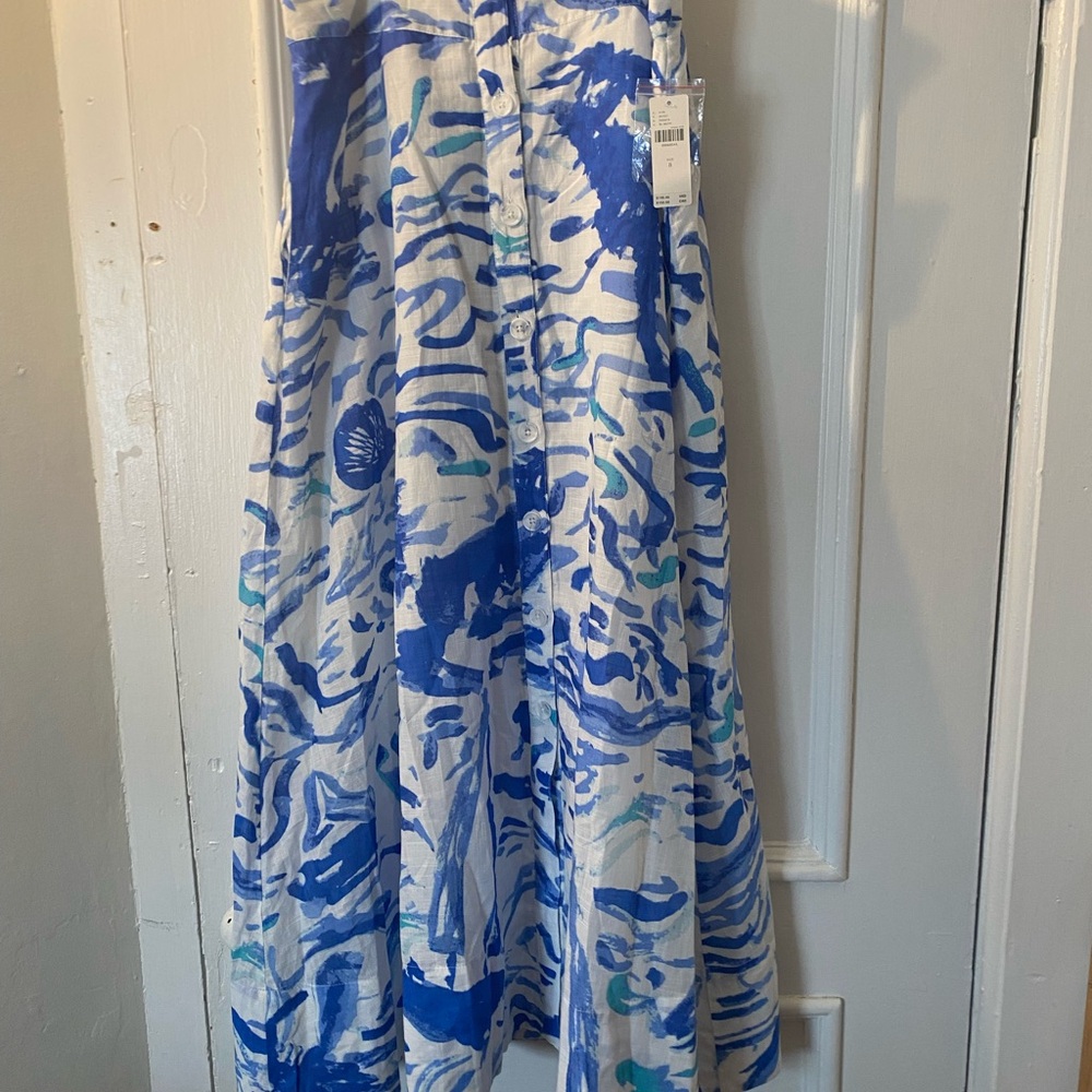 Anthropologie Blue and White Maxi Skirt